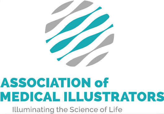 Untitled Association of Medical Illustrators