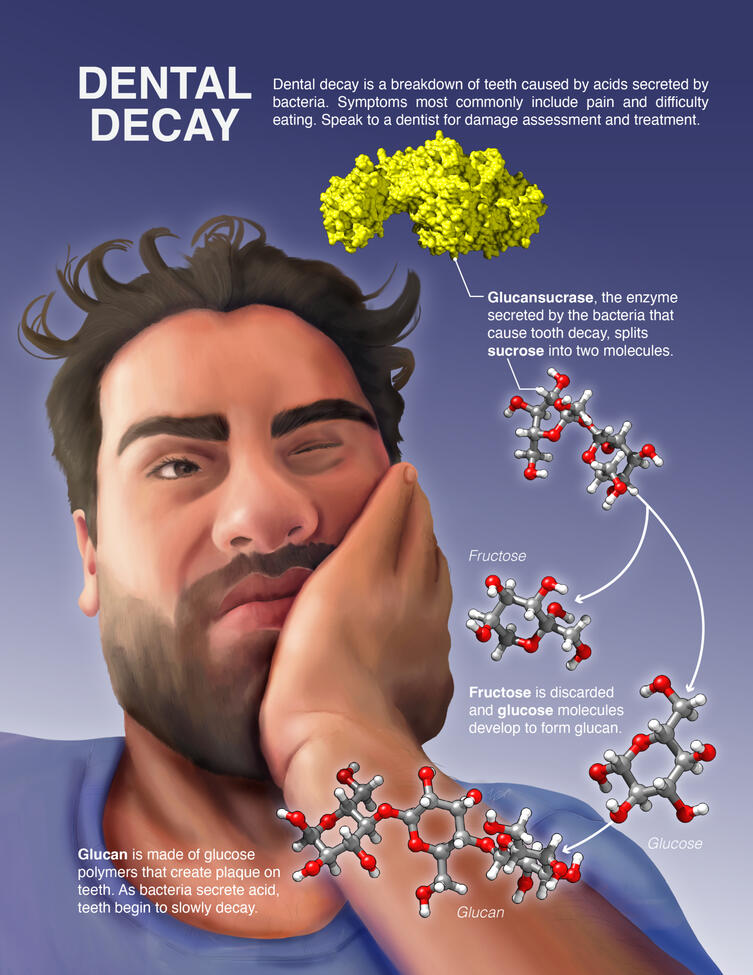 Dental Decay – Adobe Illustrator, Procreate